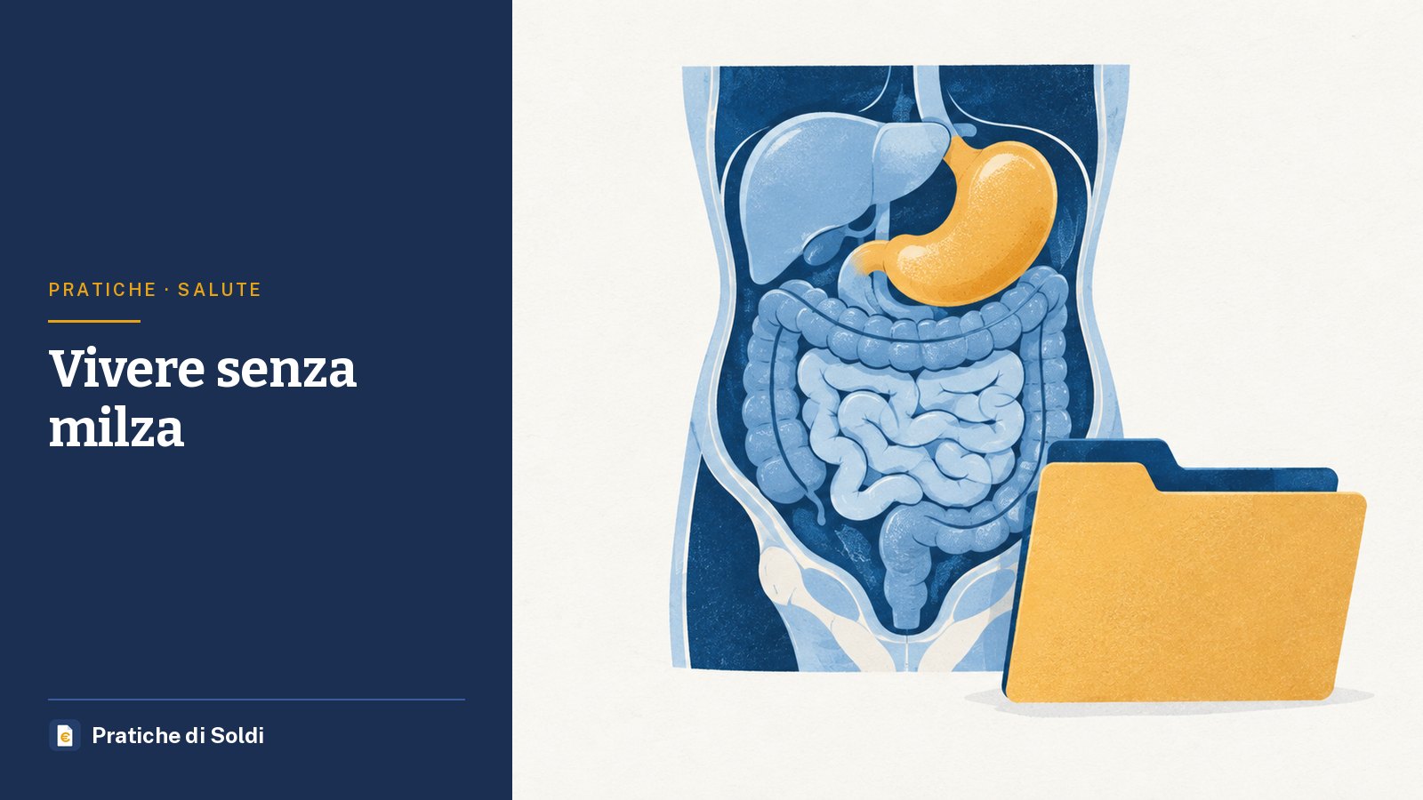 Vivere senza milza: un'illustrazione degli organi dell'addome con una cartella clinica